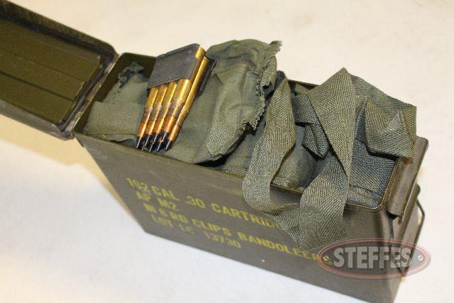 (192) rounds of .30-06 in M1 Grand Envloc clips _1.jpg